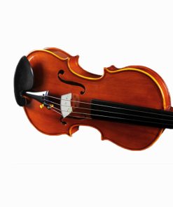 Đàn VIolin Suzuki 018