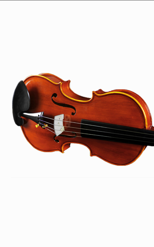 Đàn VIolin Suzuki 018
