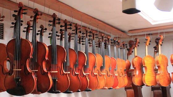 đàn violin cho người mới