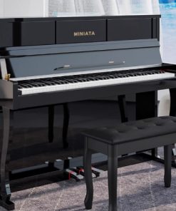 Đàn Piano Miniata B280