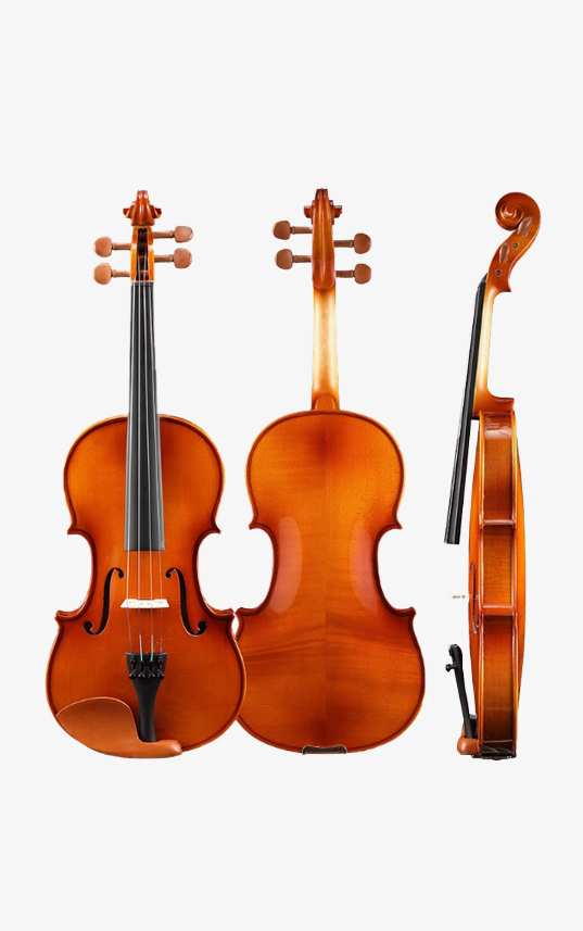 Đàn violin orange blossom v20