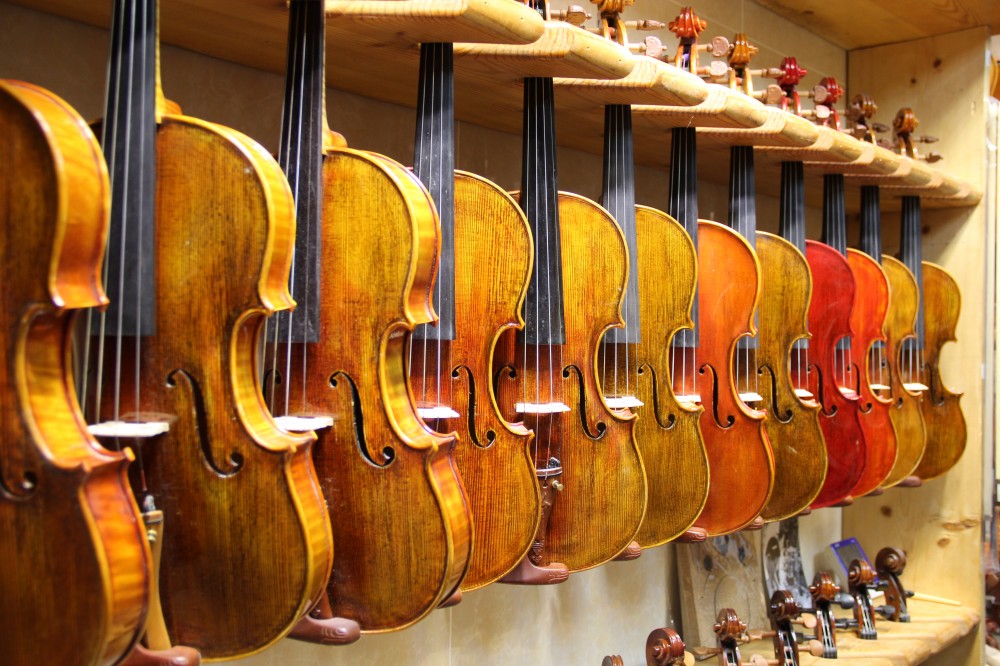 Sale mẫu violin mới về