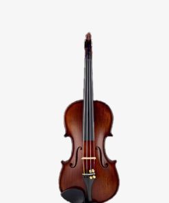 Đàn VIolin YouYang