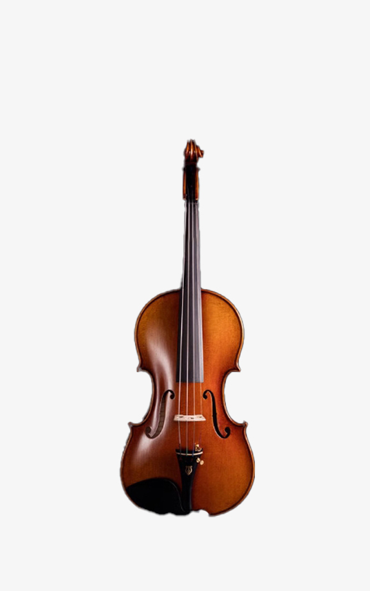 Đàn Violin YouYang - Hình ảnh 3