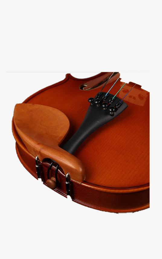 Đàn Violin Orange Blossom V20 - Hình ảnh 4