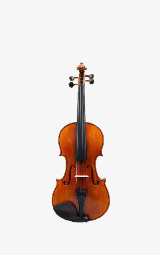 Đàn Violin YouYang