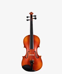 Đàn Violin You Yang