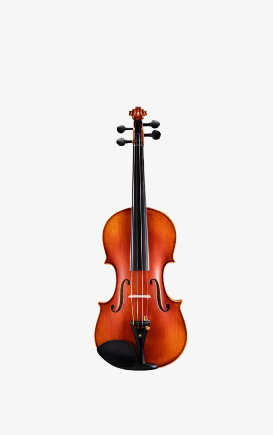 Đàn Violin You Yang