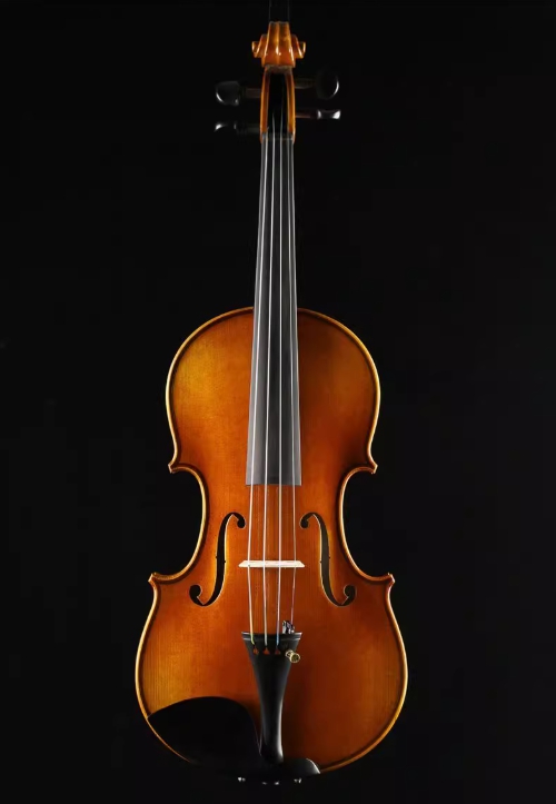 Đàn Violin YouYangg - Hình ảnh 5