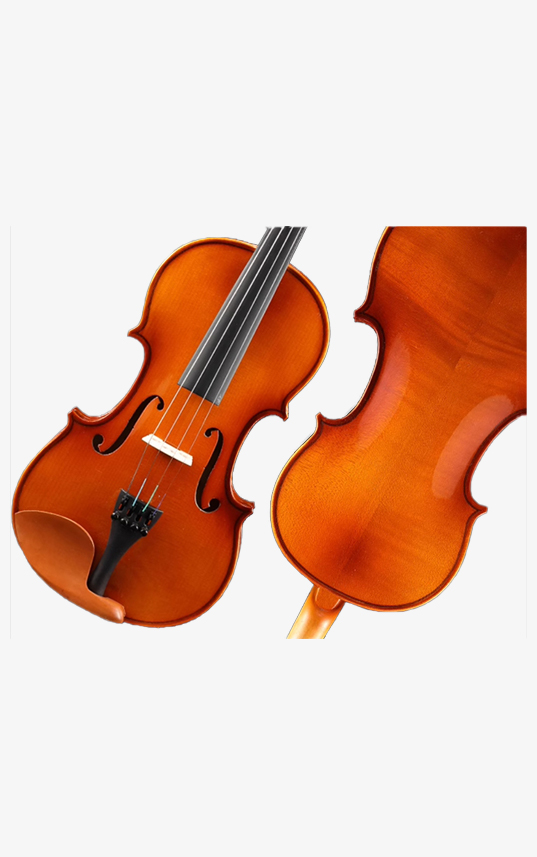 Đàn Violin Orange Blossom V20 - Hình ảnh 2